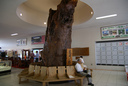 mDSC05752.jpg