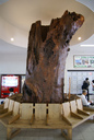 mDSC05753.jpg