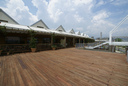 mDSC05867.jpg